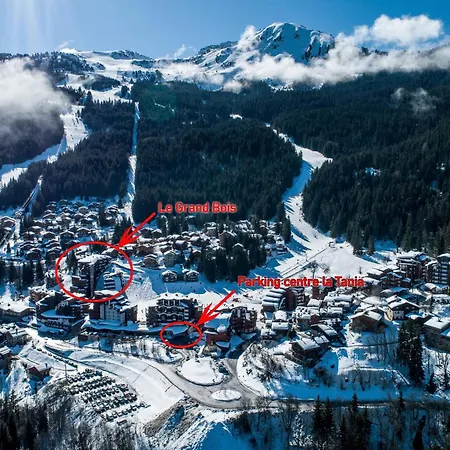 La Tania, 2 Pièces, 4 Personnes - Fr-1-182a-9